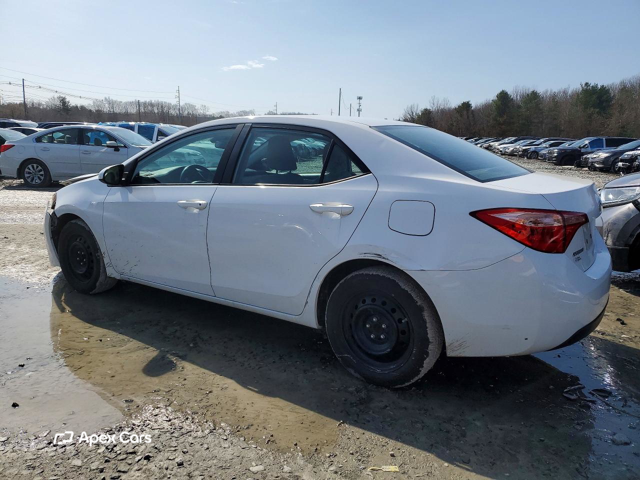 Toyota Corolla 2019