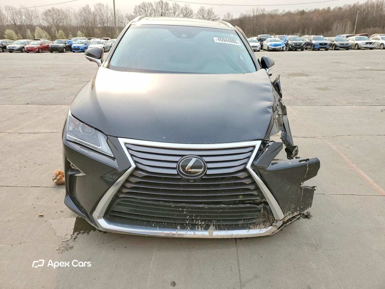 Lexus RX 2019