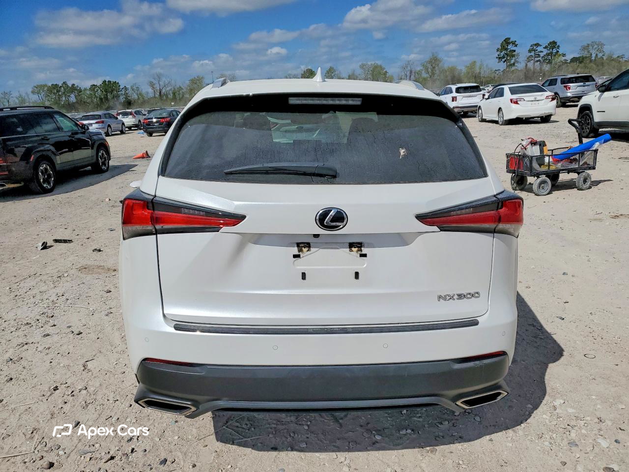 Lexus NX 2021