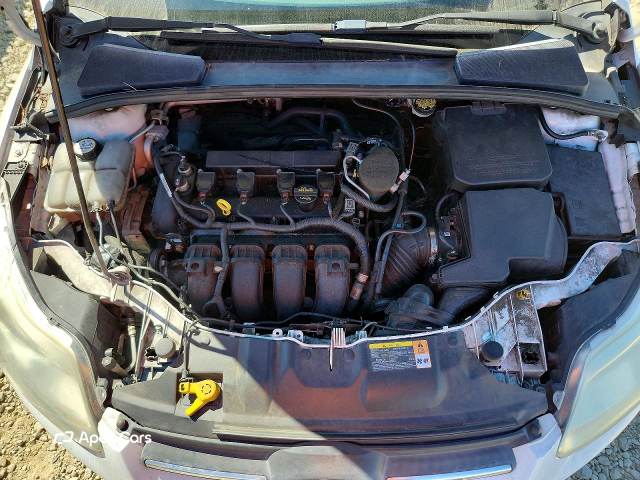 Ford Focus 2013