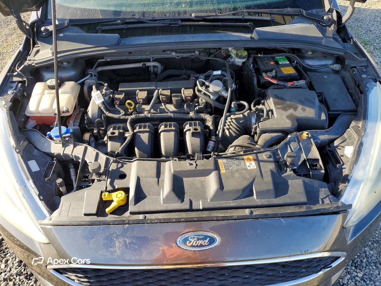 Ford Focus 2015