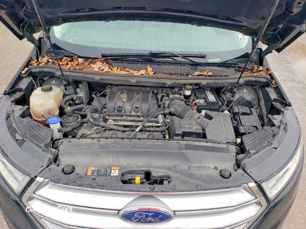Ford Edge 2015