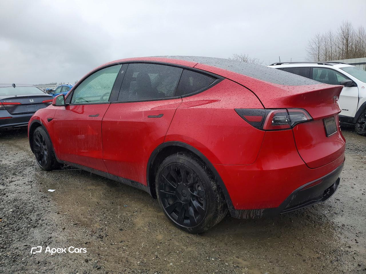 Tesla Model Y 2021