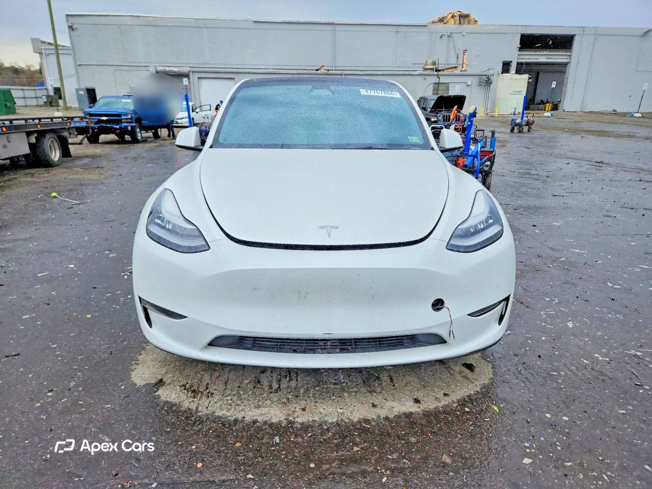 Tesla Model Y 2021
