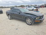 Ford Mustang 2005