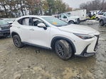 Lexus NX 2025