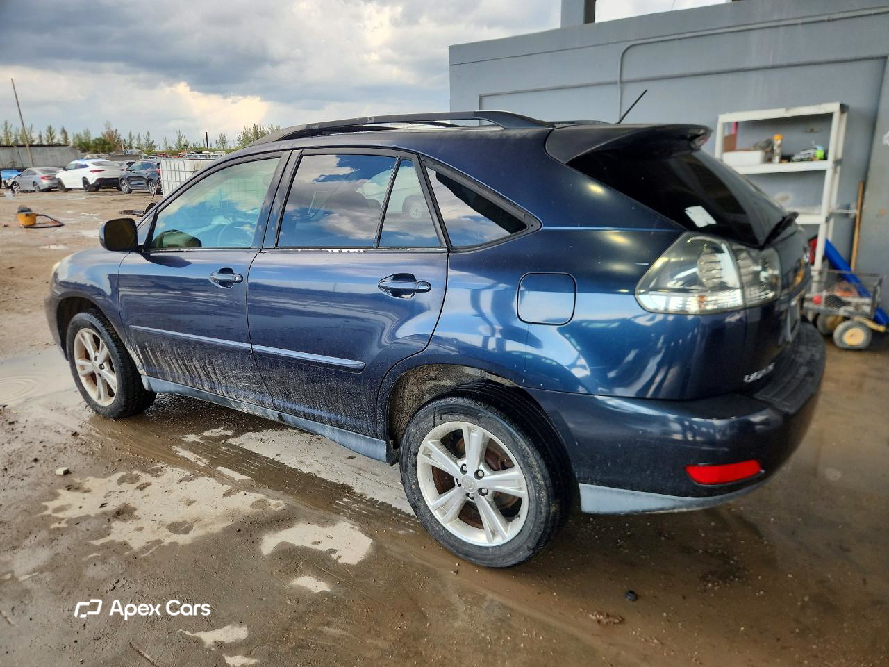 Lexus RX 2006