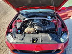 Ford Mustang 2020