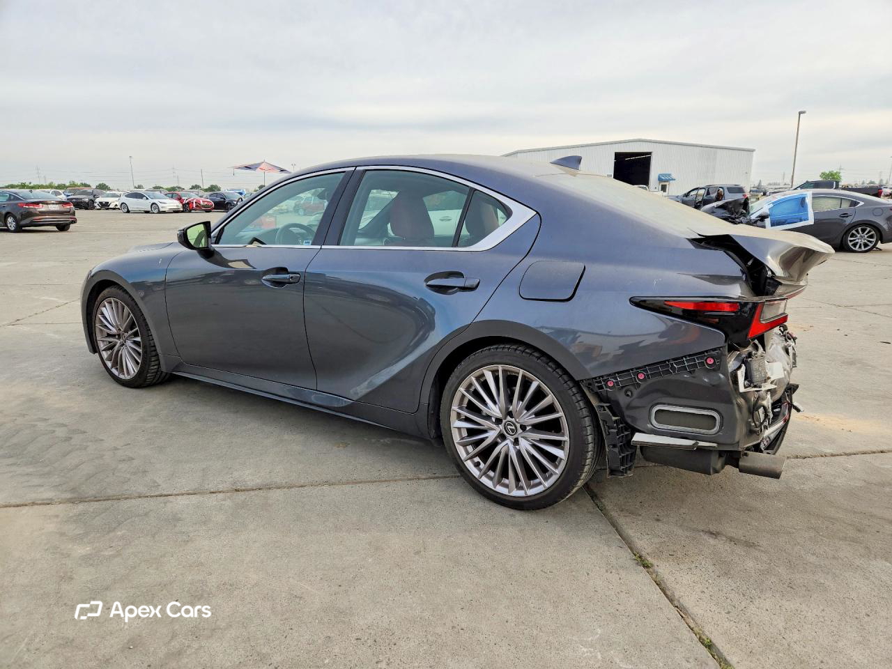 Lexus IS 2023