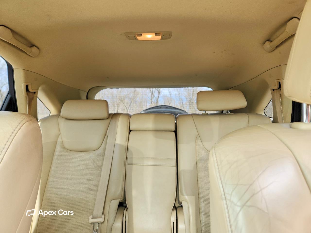 Lexus RX 2010