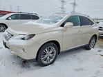 Lexus RX 2013