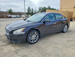 Nissan Maxima 2010