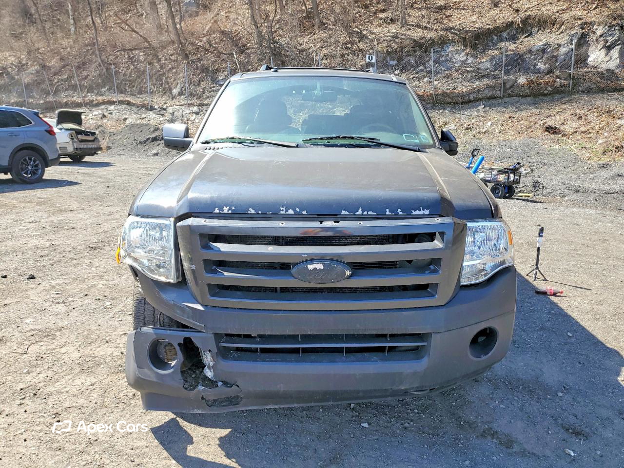 Ford Expedition 2007