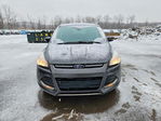 Ford Escape 2016