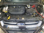 Ford Escape 2016