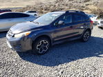 Subaru XV 2014