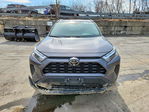 Toyota RAV 4 2024