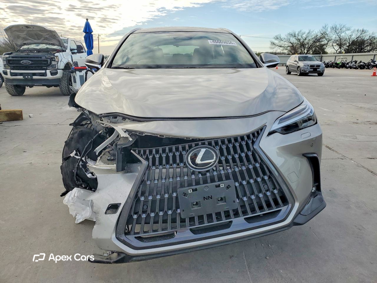 Lexus NX 2024