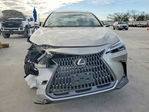 Lexus NX 2024