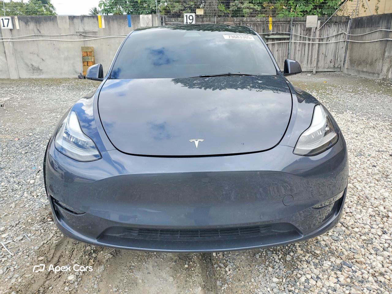 Tesla Model Y 2021