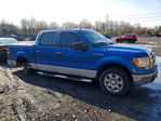 Ford  2009