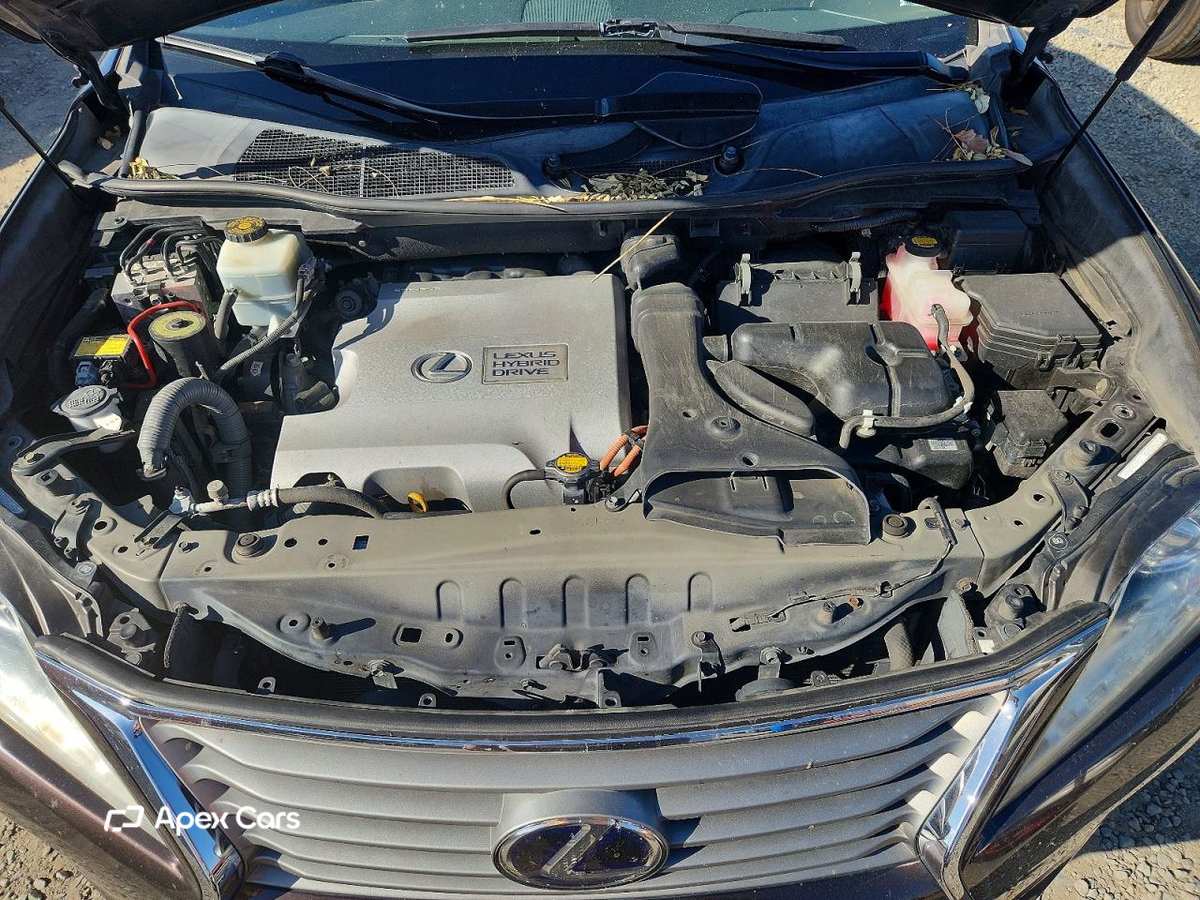Lexus RX 2013