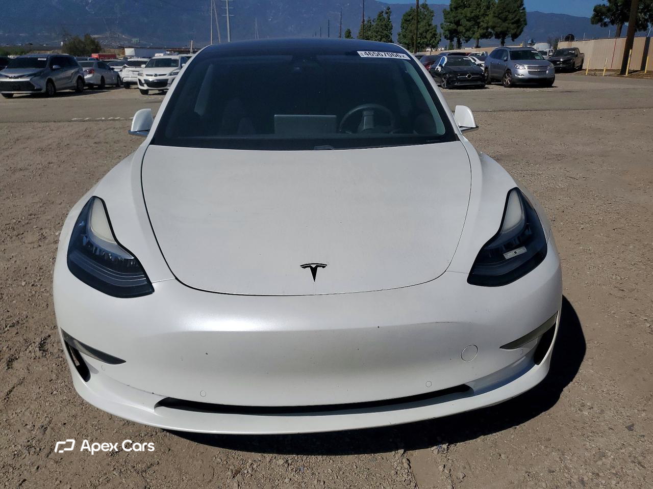 Tesla Model 3 2020