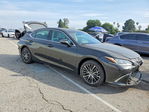Lexus ES 2025