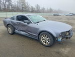 Ford Mustang 2007