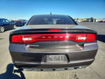 Dodge Charger 2013