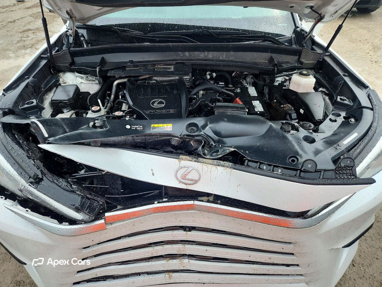 Lexus TX 2024