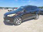 Ford Escape 2013