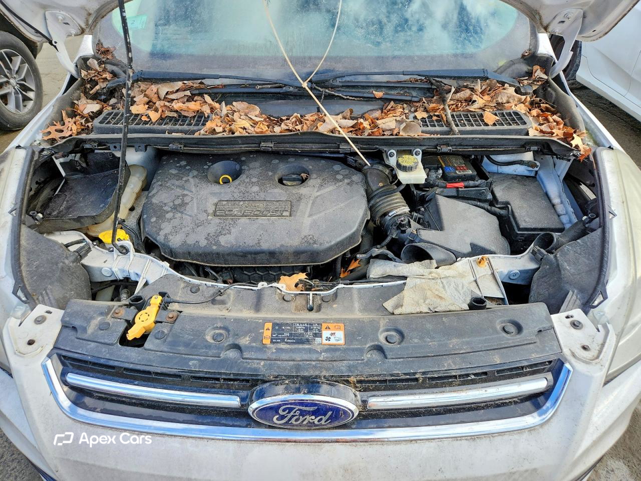 Ford Escape 2014