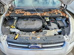 Ford Escape 2014