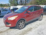 Ford Escape 2014