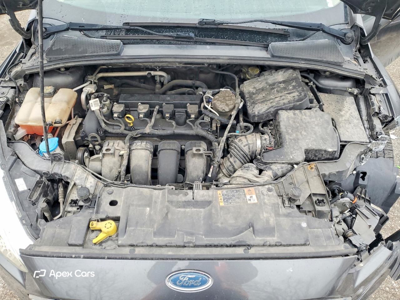 Ford Focus 2015