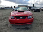 Ford Mustang 2001