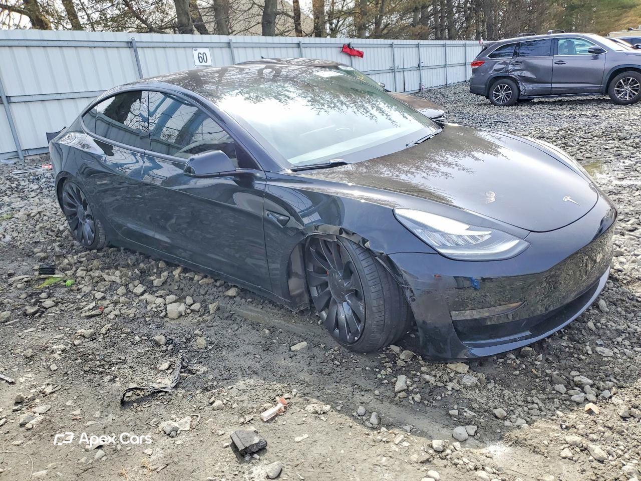 Tesla Model 3 2019