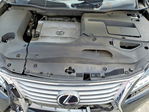 Lexus RX 2013