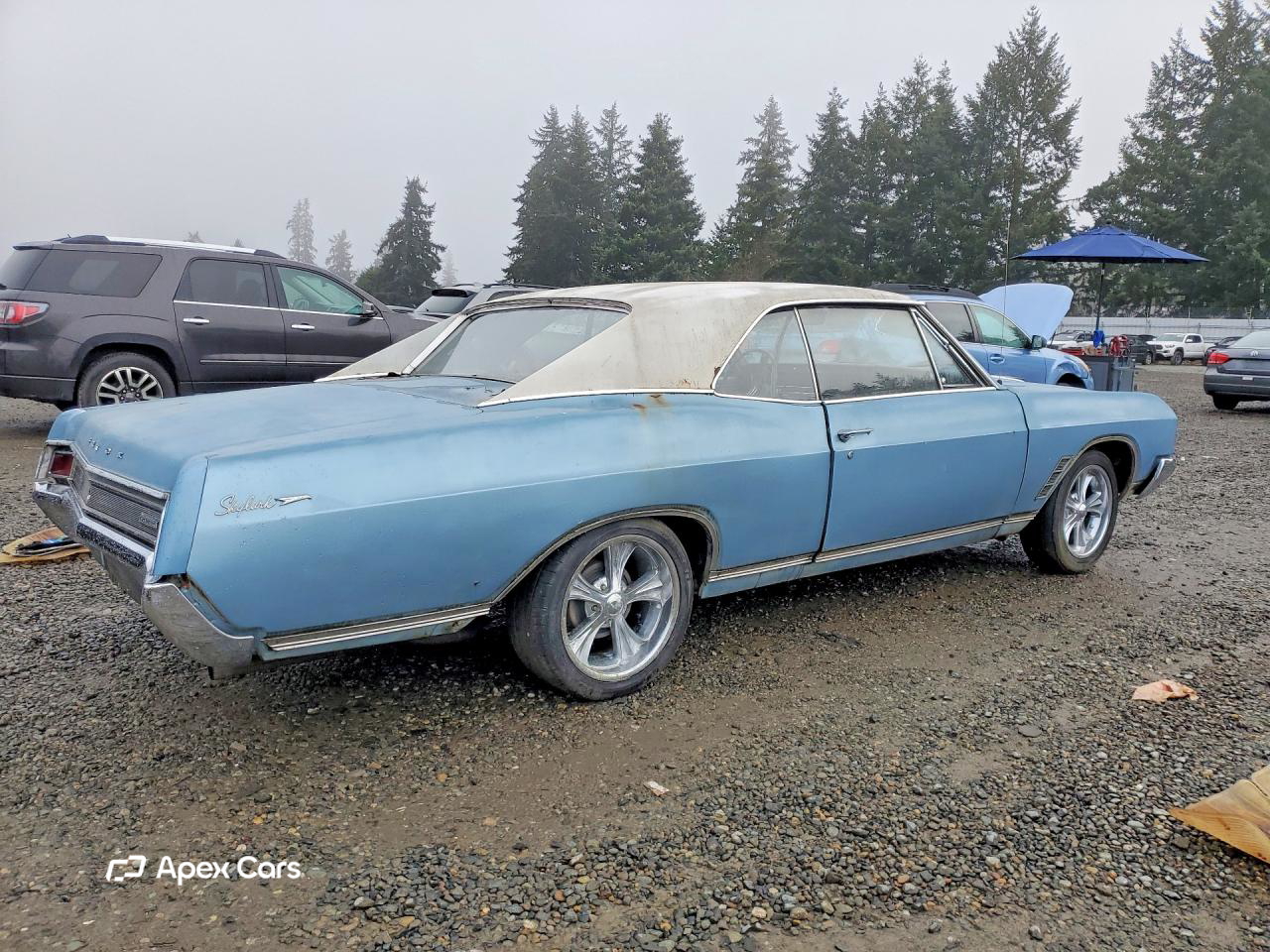 Buick Skylark 1966