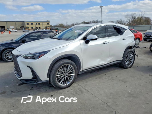 Lexus NX 2023 - Image 1 of 14