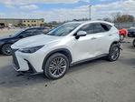 Lexus NX 2023