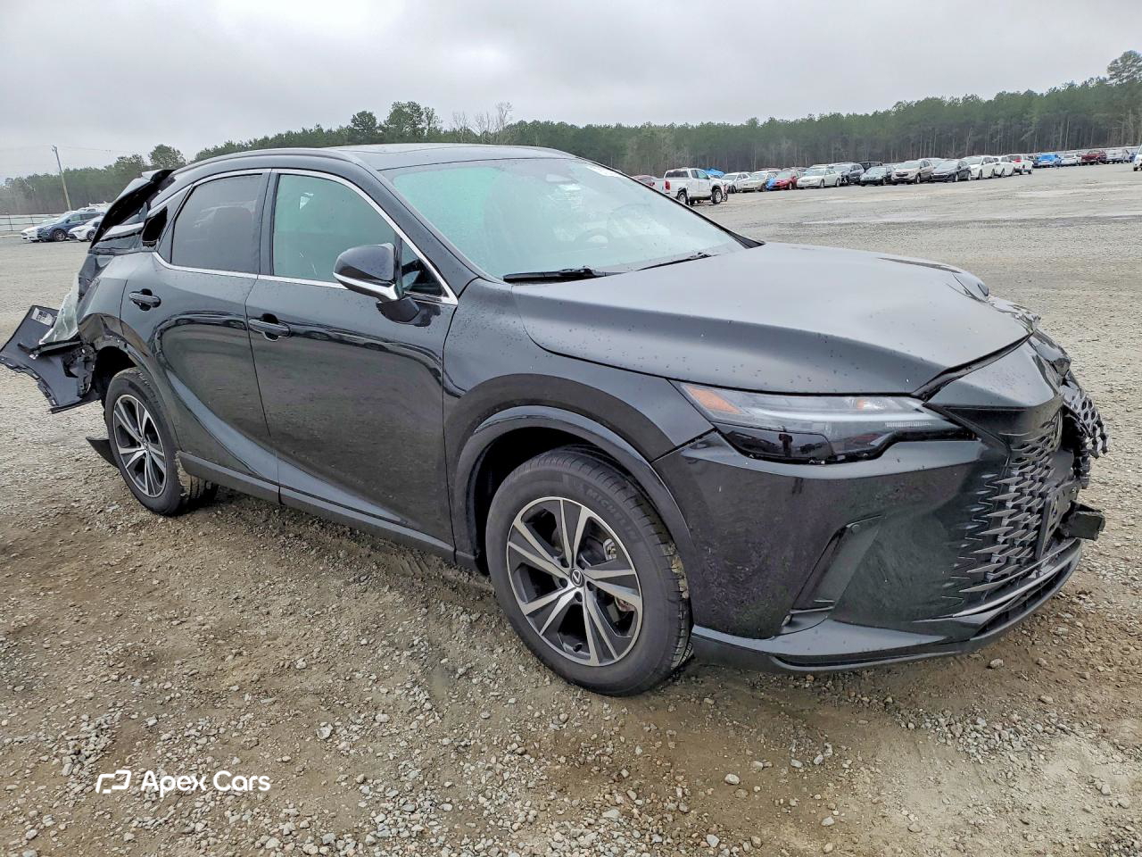 Lexus RX 2025
