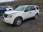 Ford Escape 2009