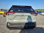 Toyota RAV 4 2023