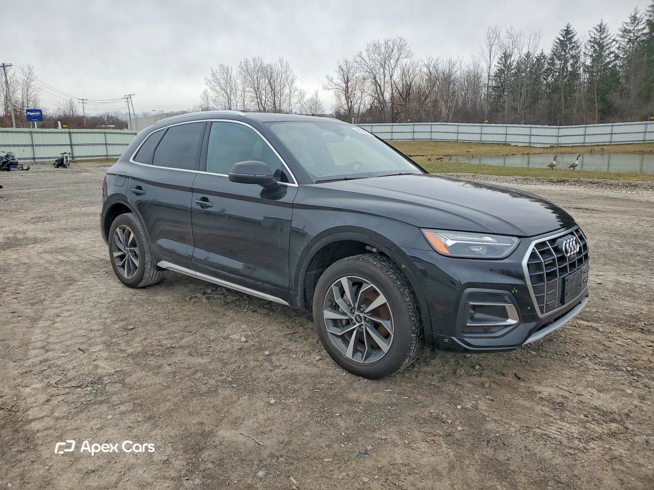 Audi Q5 2021