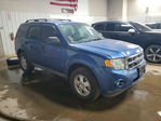Ford Escape 2009