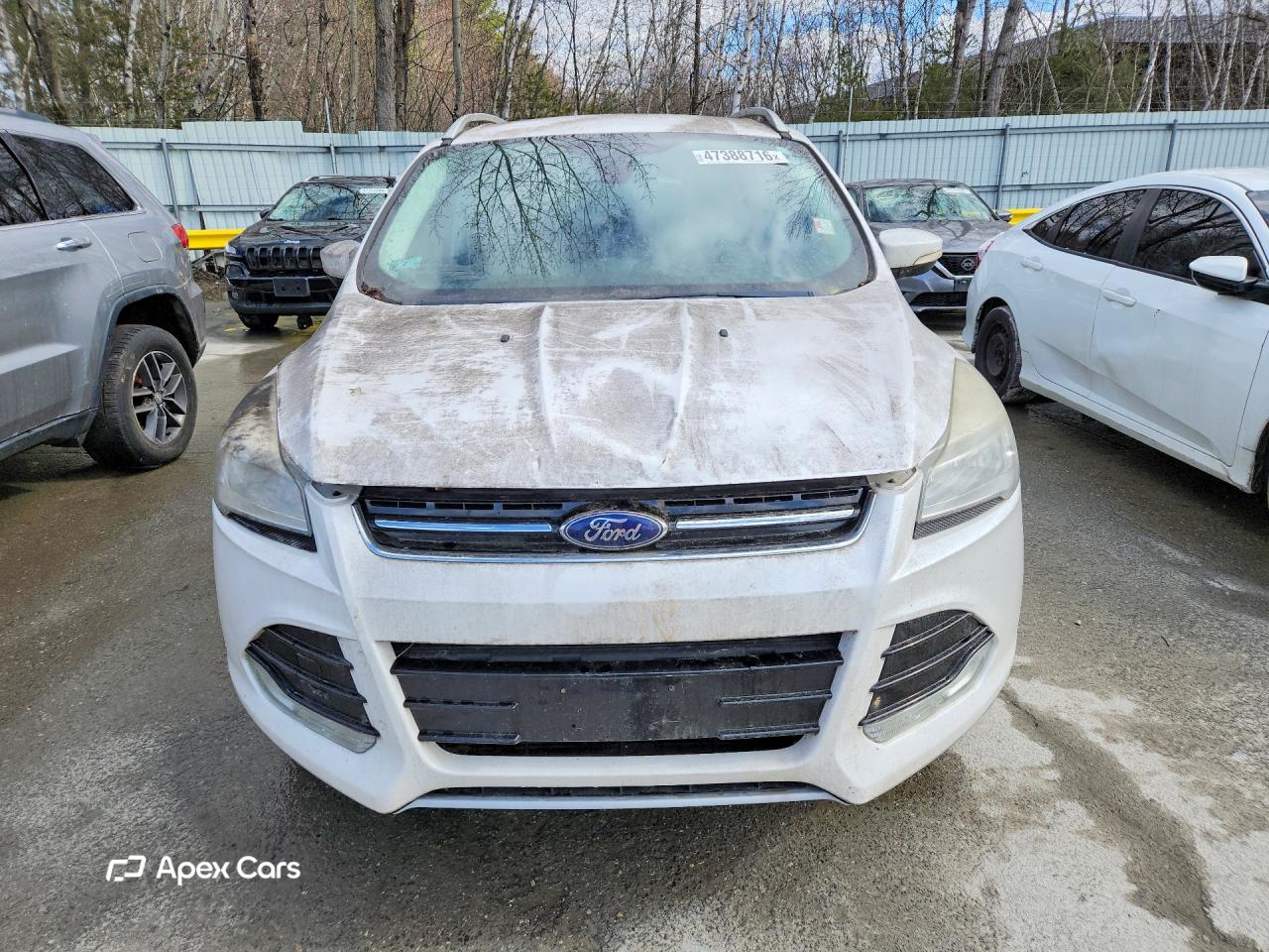 Ford Escape 2014