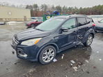 Ford Escape 2015
