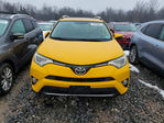Toyota RAV 4 2016